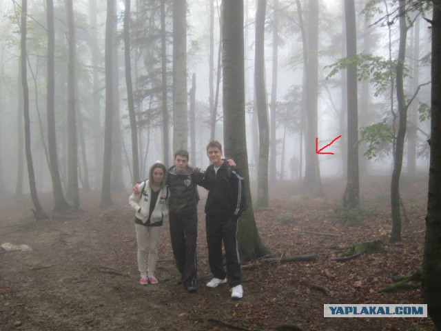 19 фотографий, где фон намного интересней переднего плана