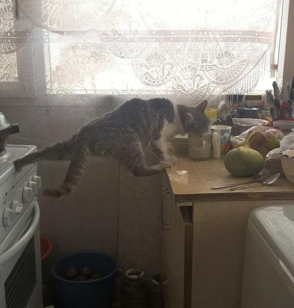 Ужасы и приколы из соцсетей