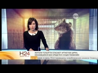 Час просмотра РЕНТВ