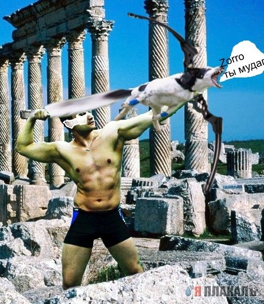 Фотожаба: летающая собака