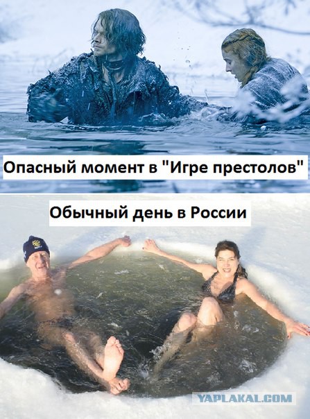 Весёлые картинки