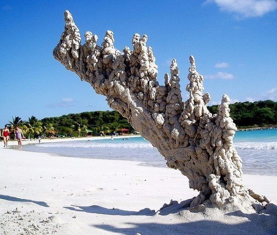 Интересные и веселые картинки