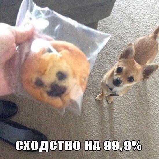 Интересные и веселые картинки