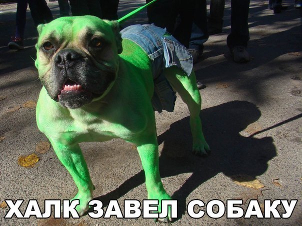 Поборка веселых фотографий