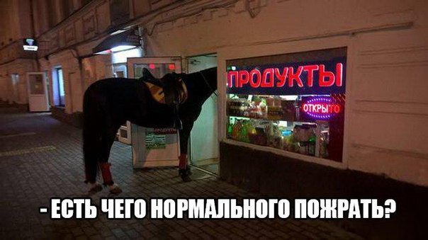 Прикольные животные