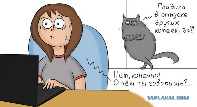 Юмор не для всех