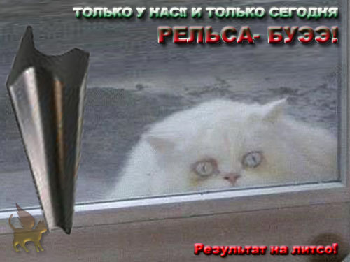Барсик и Кеша (жесть)