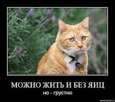 Поспать любой ценой