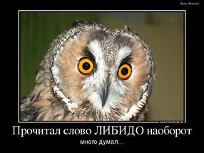 Сборище абсурда