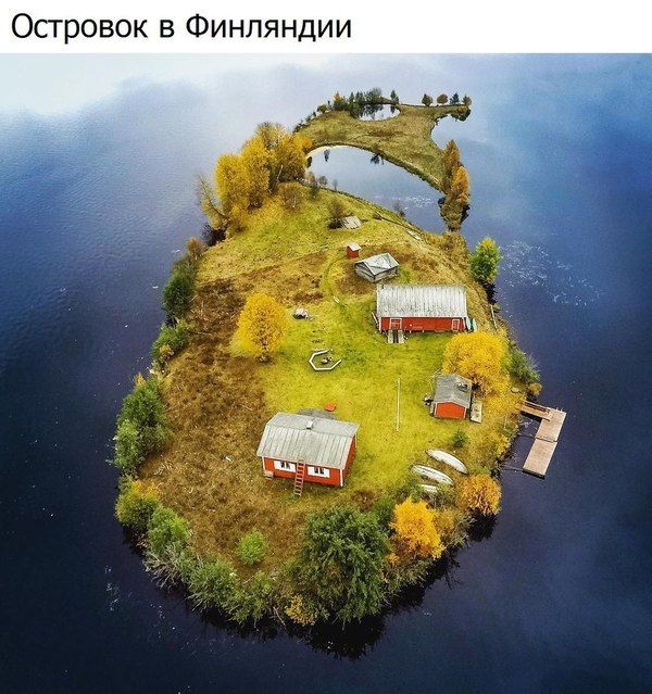 Порция картинок из сети