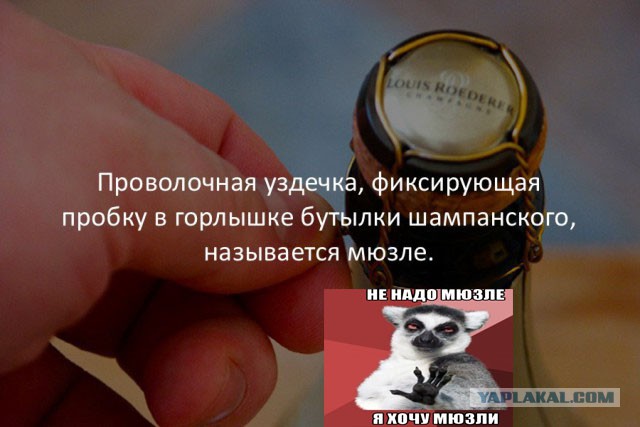 Подслушано. Пошлое. пятничный Спецвыпуск