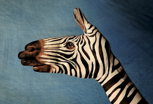 Животные на пальцах