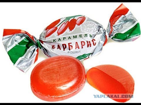 Марш Тунеядцев. Что дальше? Программа тунеядцев