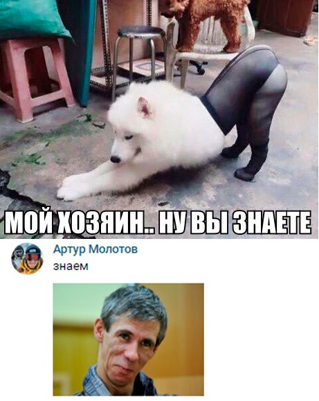 Панин и собака мем И еще немного картинок... - ЯПлакалъ