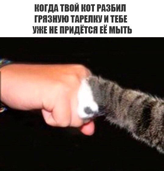Немного деграданса - 9