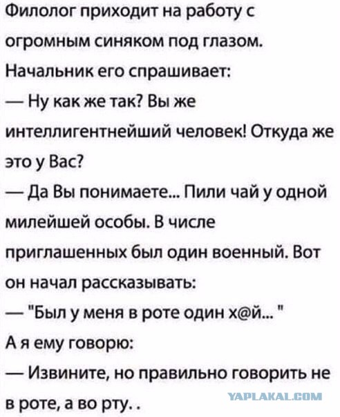 49 забавных картинок