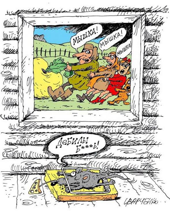 Подборка интересных и веселых картинок