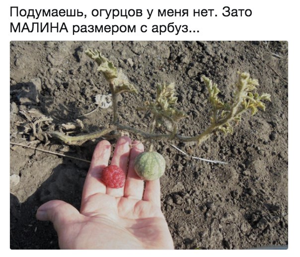 Картинки из вк