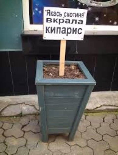 Всякое разное с просторов
