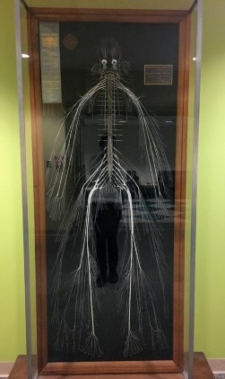 28 снимков, из категории «Пока не увижу, не поверю»