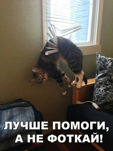 Подборка интересных и веселых картинок
