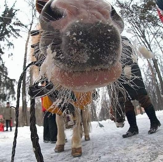 Подборка интересных и веселых картинок