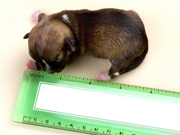 Чудо под названием жизнь!