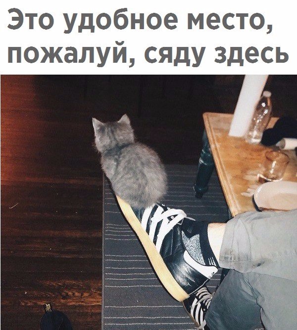 Немного милоты