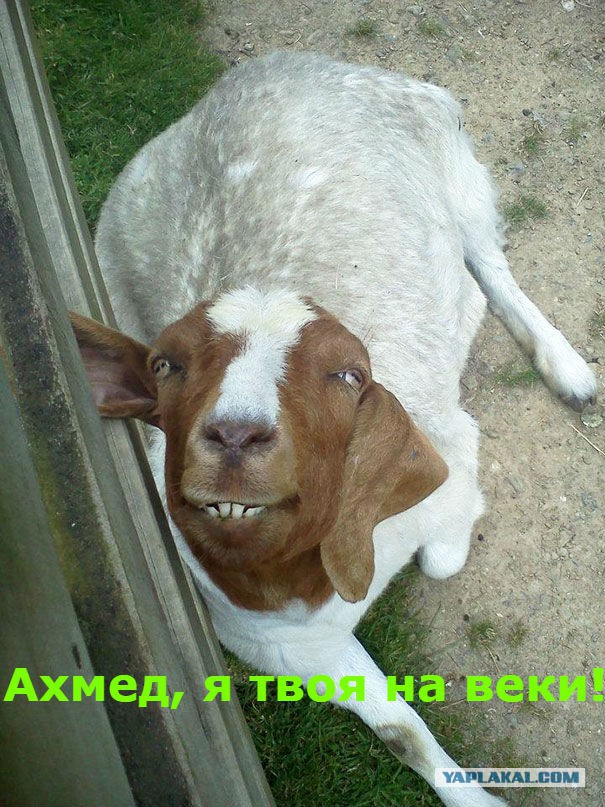 Когда наконец-то привел девушку в ЦУМ