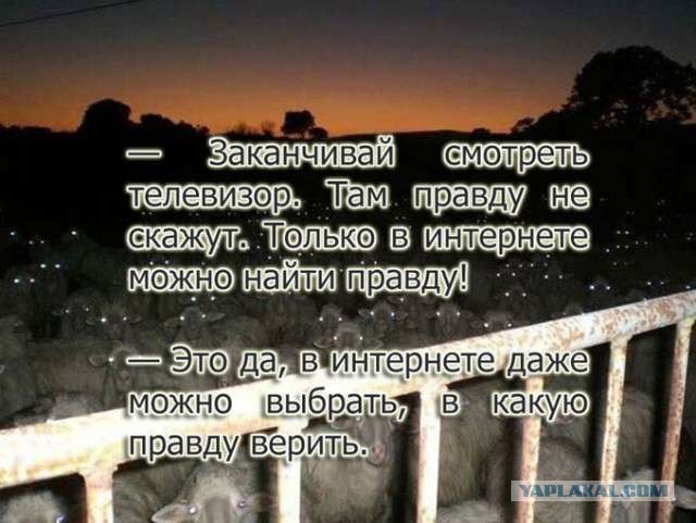 Топкинские чиновники срубившие елку у частника, после Нового года выбросили ее обратно на участок жителя