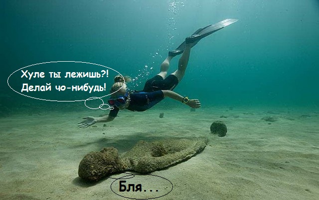 50 красивых картинок о том, что происходит под водой