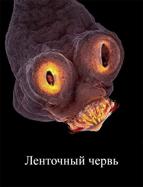 Картинки с надписями 3.08.19