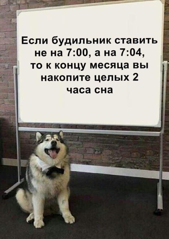 Прикольные комментарии и высказывания из Сети 07.09.19