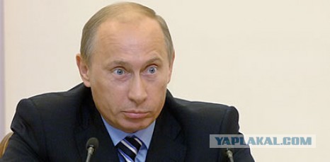 Поездка в Киев на машине из Ростовской области