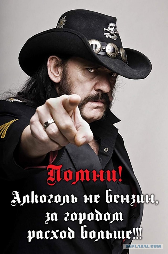 Алкопост! В картинках