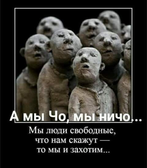 Немного картинок для настроения 21.03.20