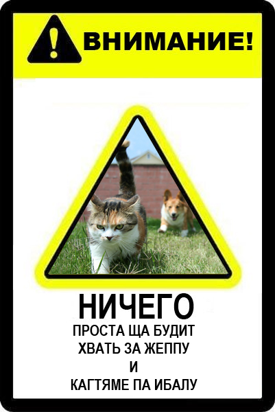 Фотожаба: Абсолютно ничего