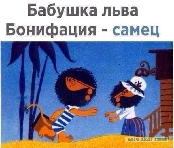 Откуда взялся до сих пор актуальный миф о телегонии?