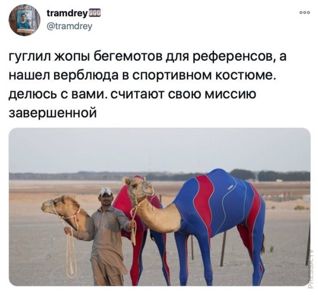 Картинки и мемы для настроения 018