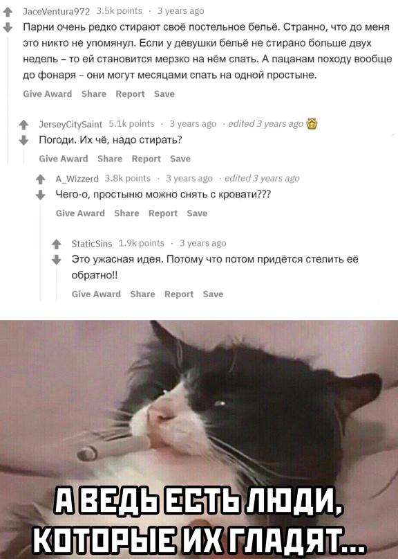 Весёлый полтишок 31.03