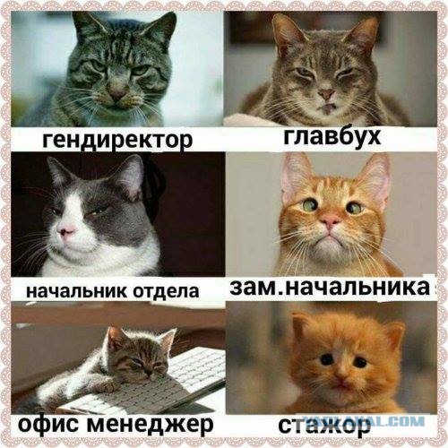 Так себе картинки 20.05.21