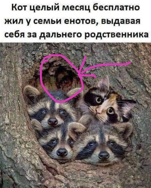 Всяческие картинки 16.06.2021
