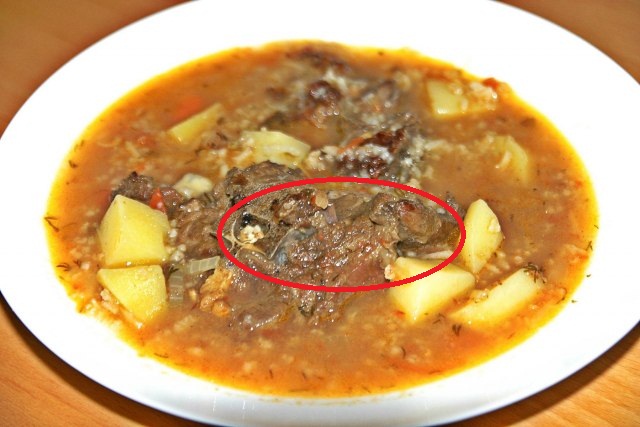 Мастава