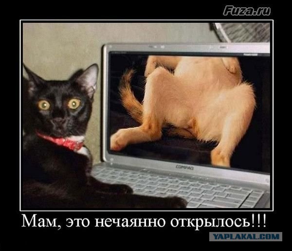 А вы смотрите фото девушек, когда любимая рядом?