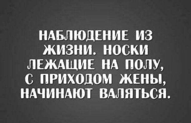 Всяческие картинки 02.11.2021