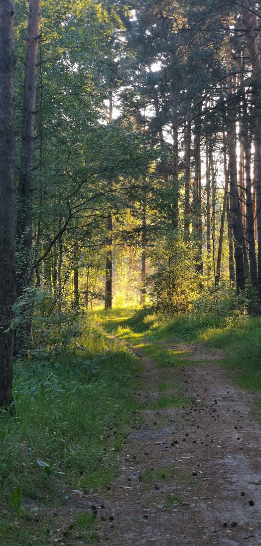 Фотки с телефона.