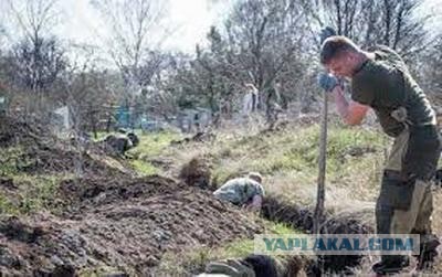 Бойцы ВСУ обосновались прямо на кладбище