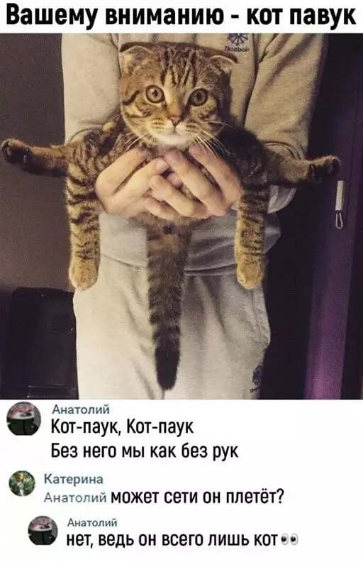 Картинки и мемы для настроения  - 31