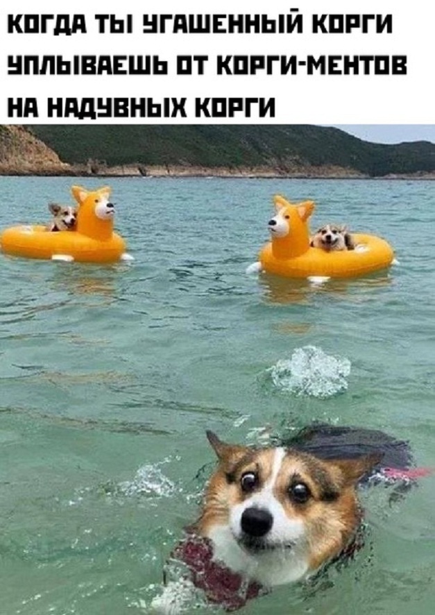 Картинки и мемы для настроения - 27