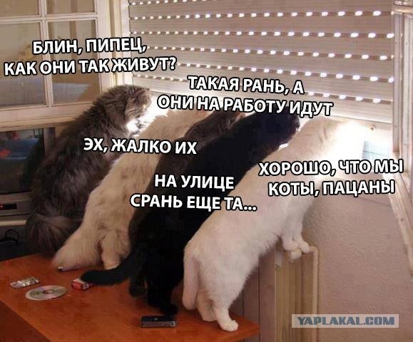 Дети, мы уходим